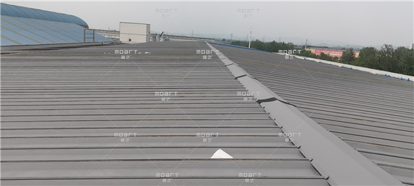 武汉成人免费黄瓜视频翻新